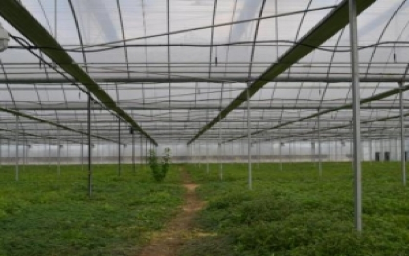 智慧農(nóng)業(yè)園區(qū)監(jiān)測(cè)